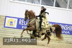 23R13_09577 thumbnail