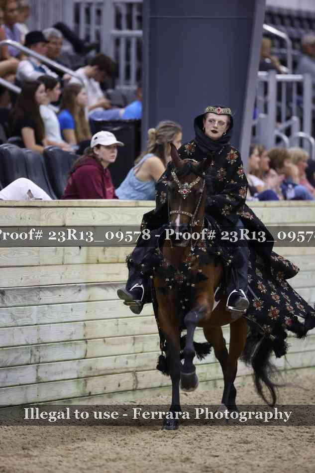Proof Number 23R13_09578