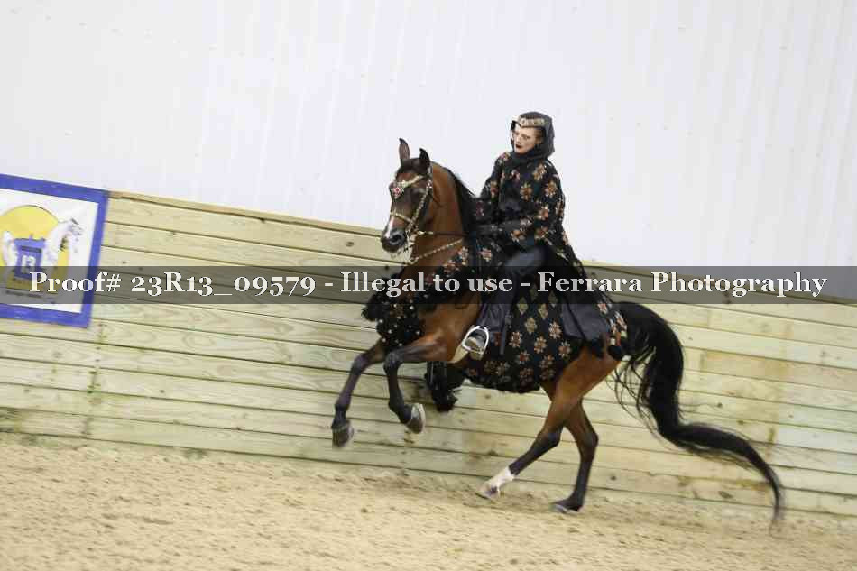 Proof Number 23R13_09579