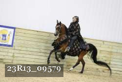 23R13_09579 thumbnail