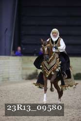 23R13_09580 thumbnail
