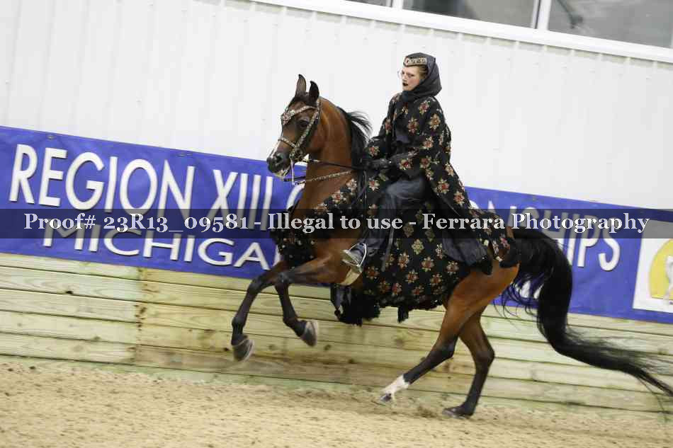 Proof Number 23R13_09581