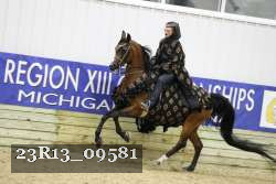 23R13_09581 thumbnail