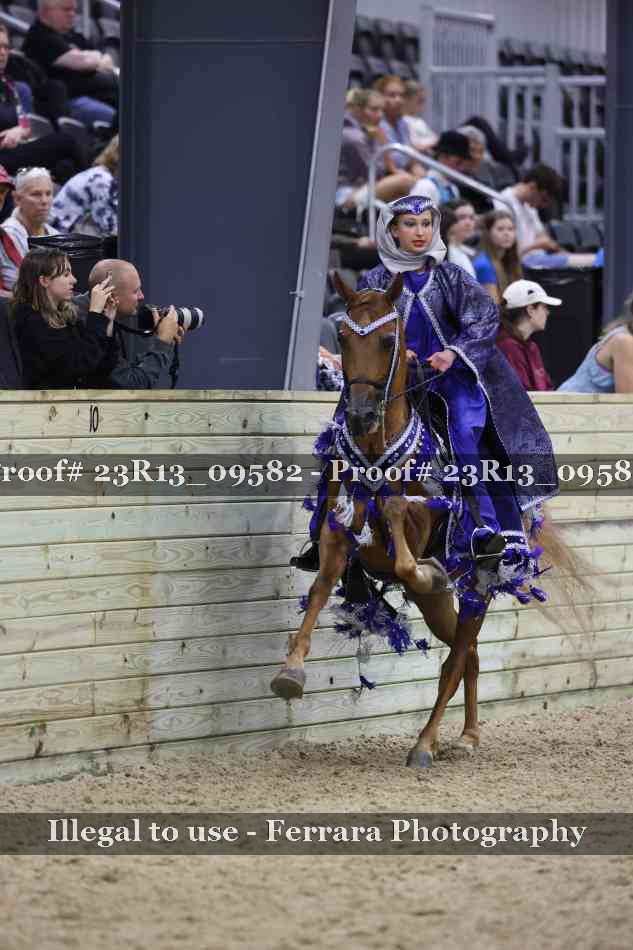 Proof Number 23R13_09582