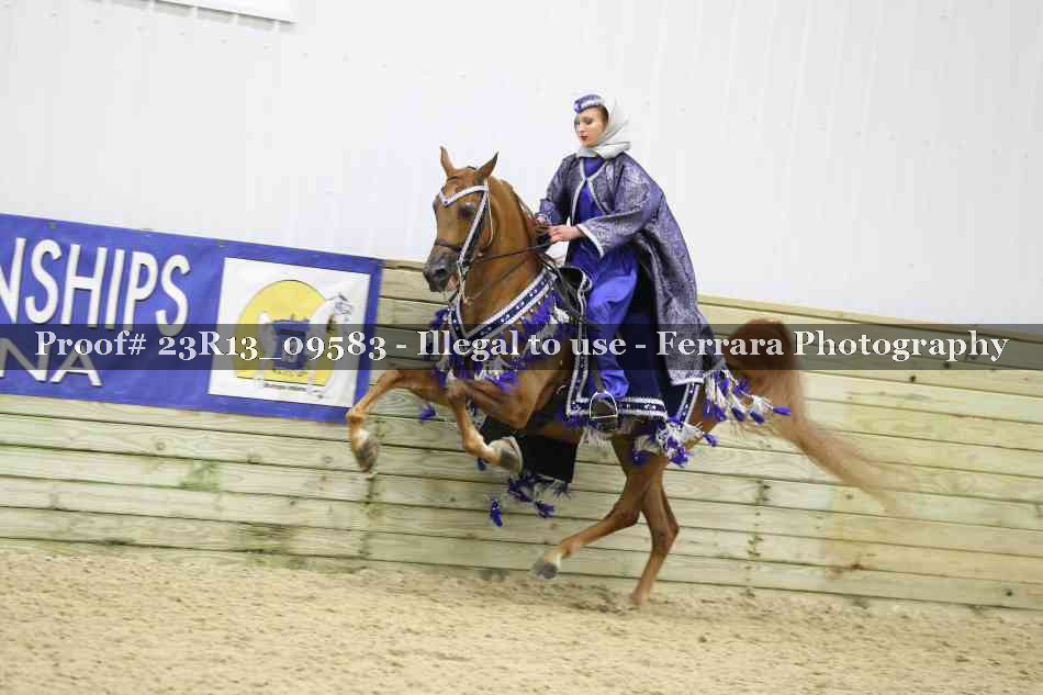 Proof Number 23R13_09583