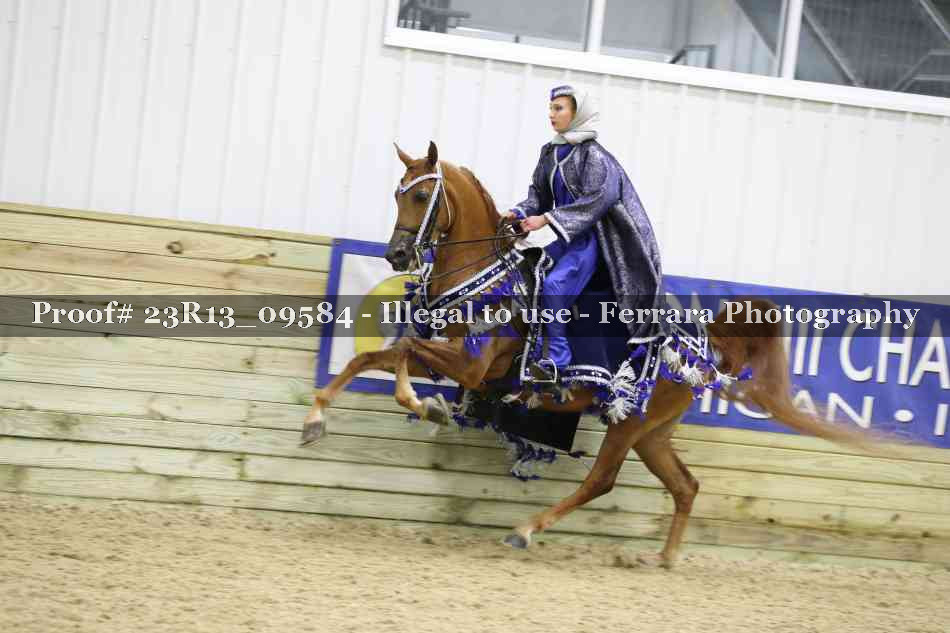 Proof Number 23R13_09584