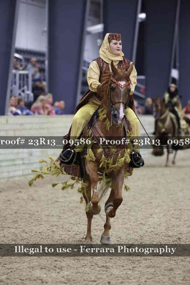 Proof Number 23R13_09586