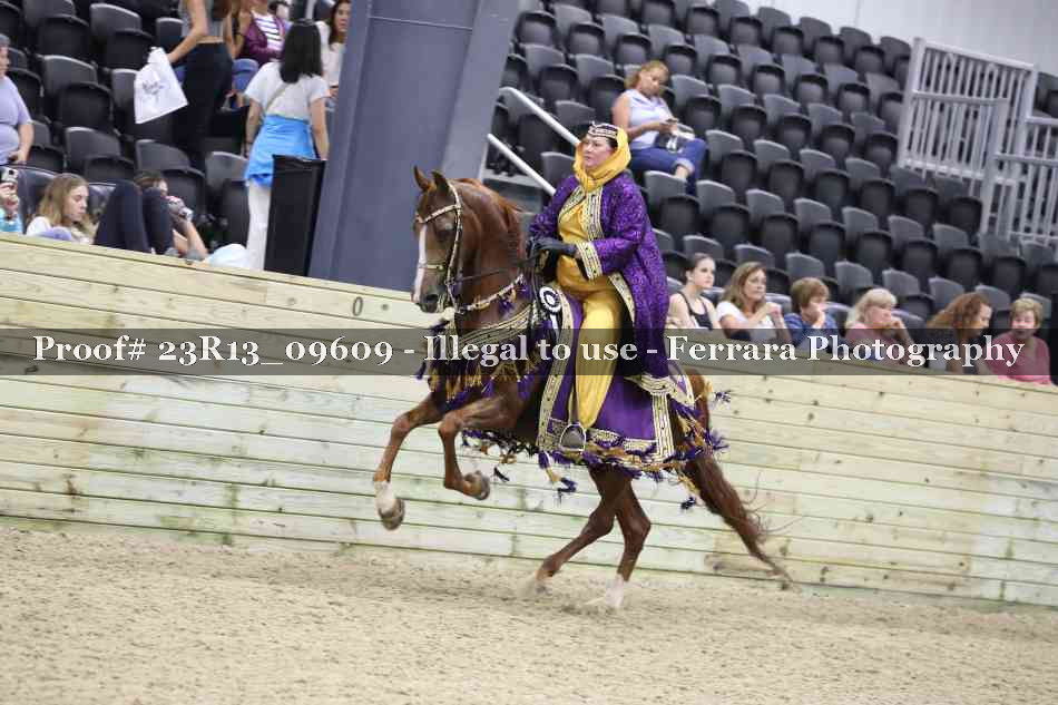 Proof Number 23R13_09609
