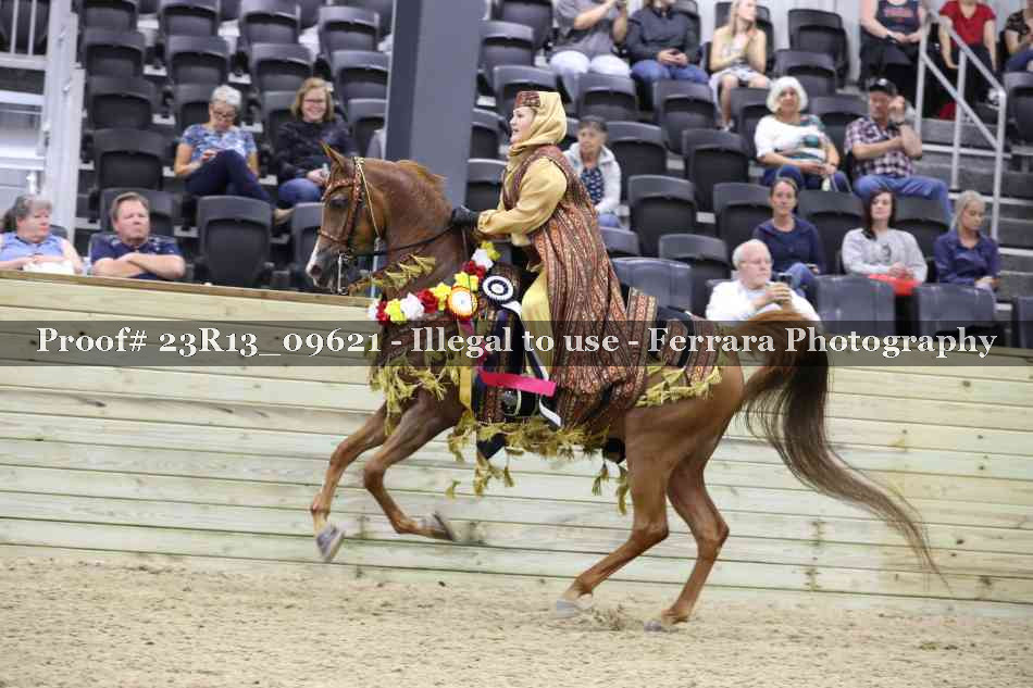 Proof Number 23R13_09621