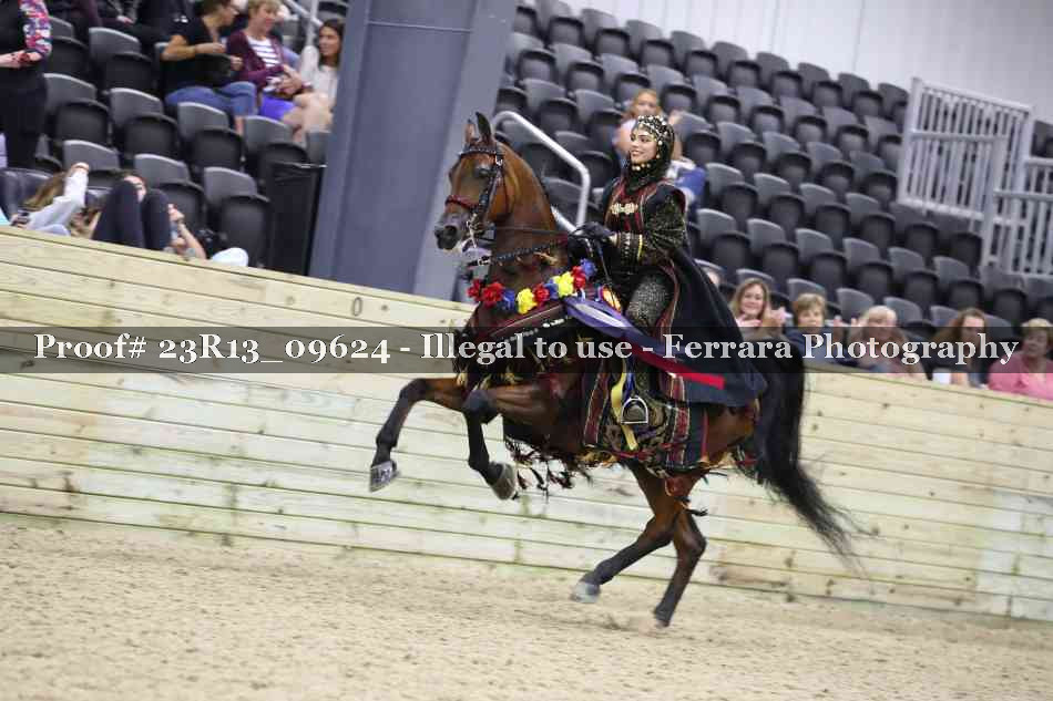 Proof Number 23R13_09624