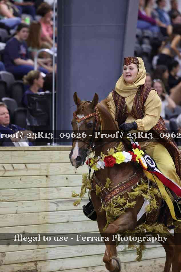 Proof Number 23R13_09626