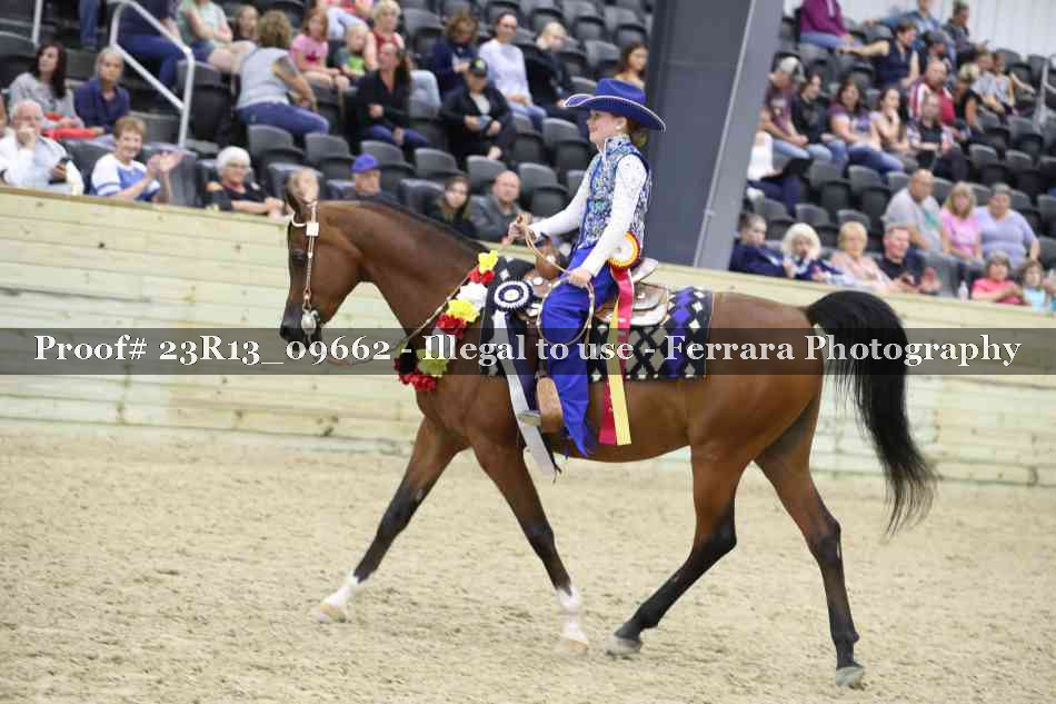 Proof Number 23R13_09662