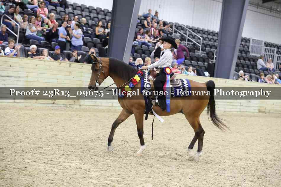 Proof Number 23R13_09675