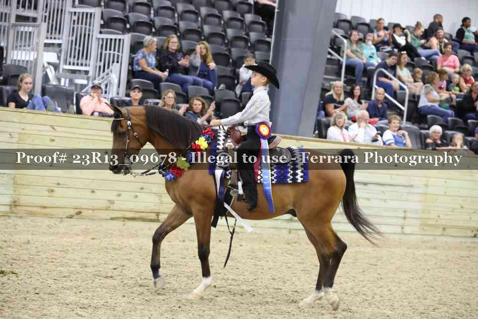 Proof Number 23R13_09678