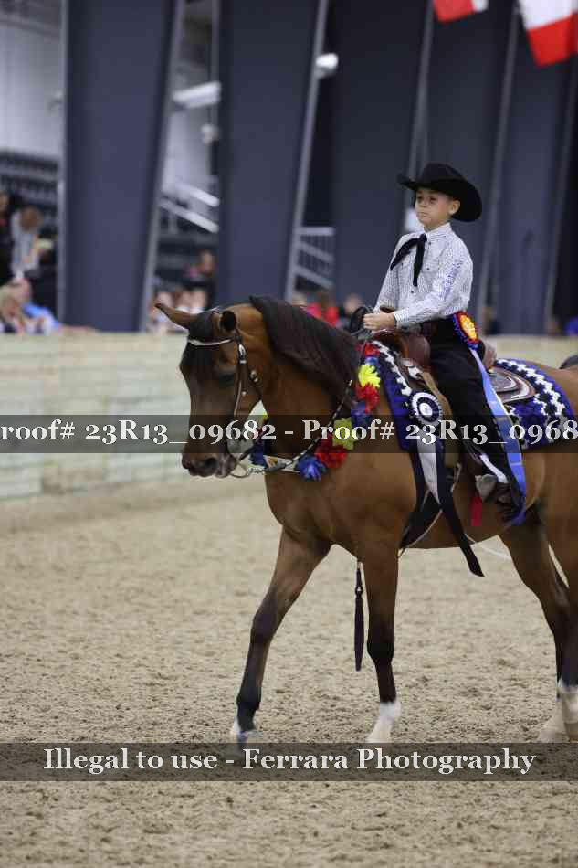 Proof Number 23R13_09682