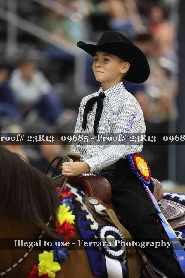 Proof Number 23R13_09685