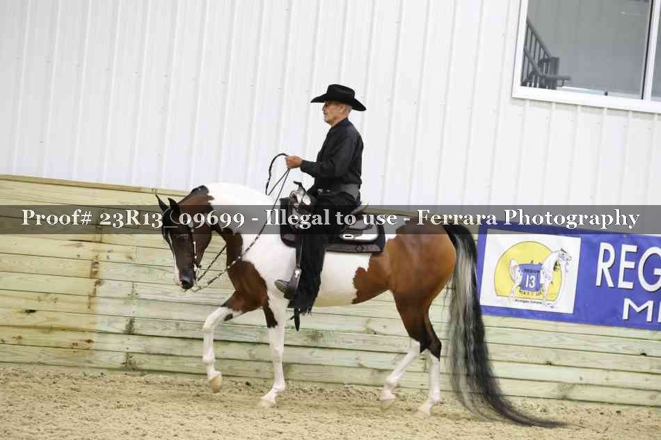 Proof Number 23R13_09699
