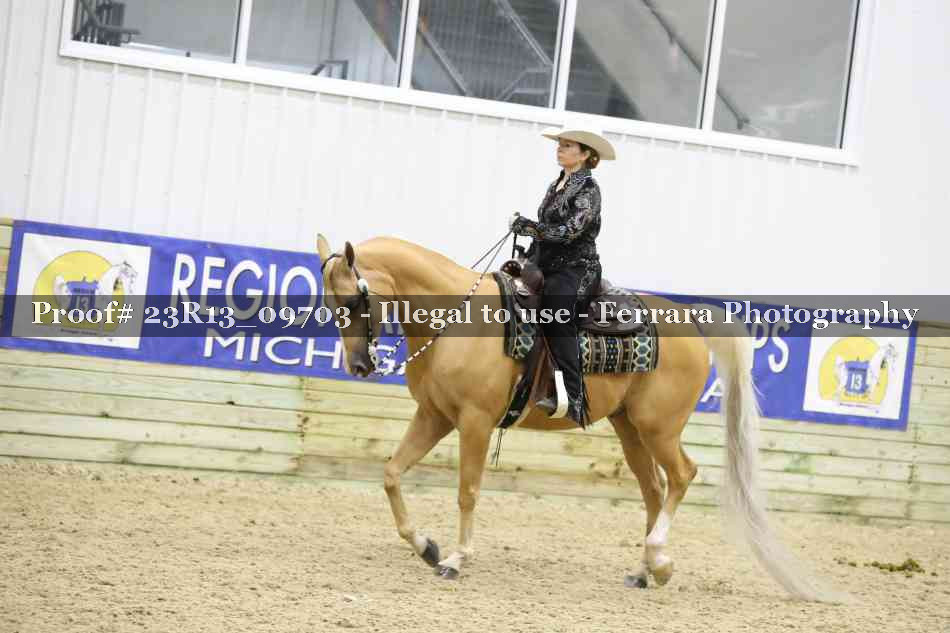 Proof Number 23R13_09703
