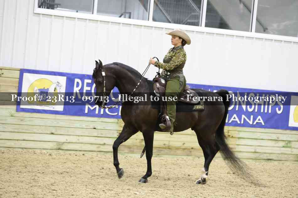 Proof Number 23R13_09713