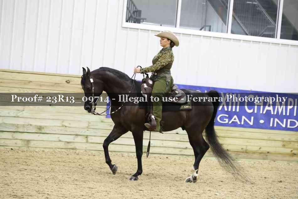 Proof Number 23R13_09714