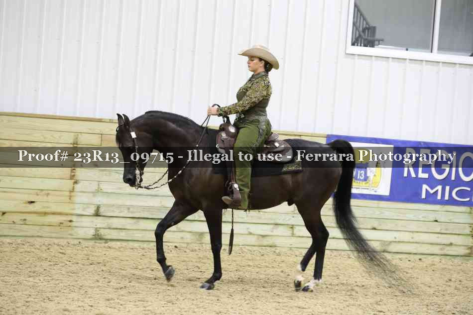 Proof Number 23R13_09715