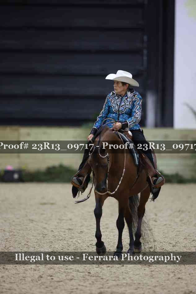 Proof Number 23R13_09717