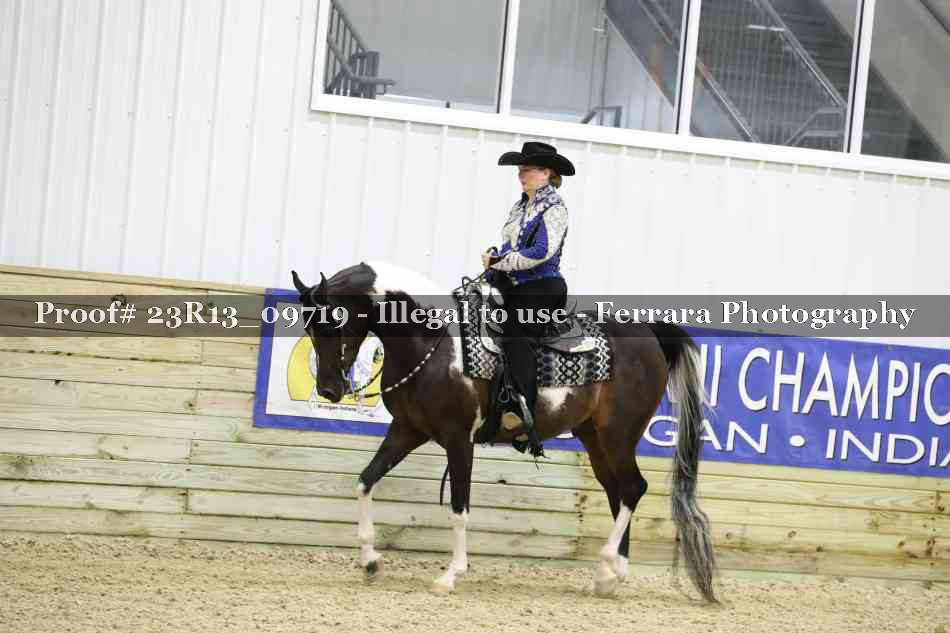 Proof Number 23R13_09719