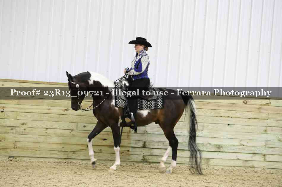 Proof Number 23R13_09721