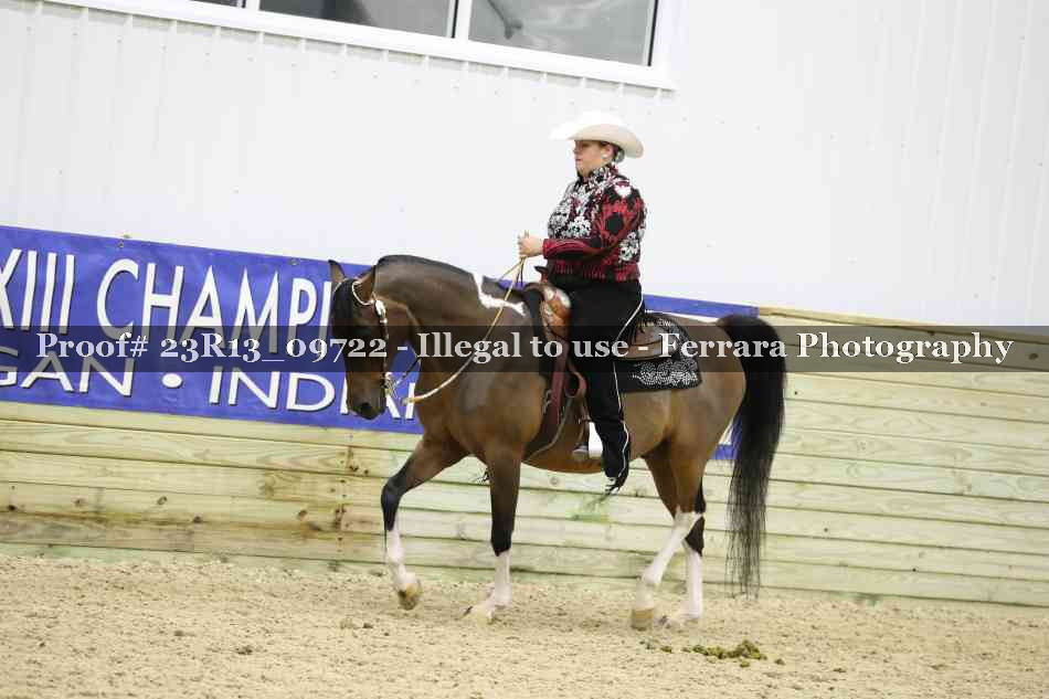 Proof Number 23R13_09722