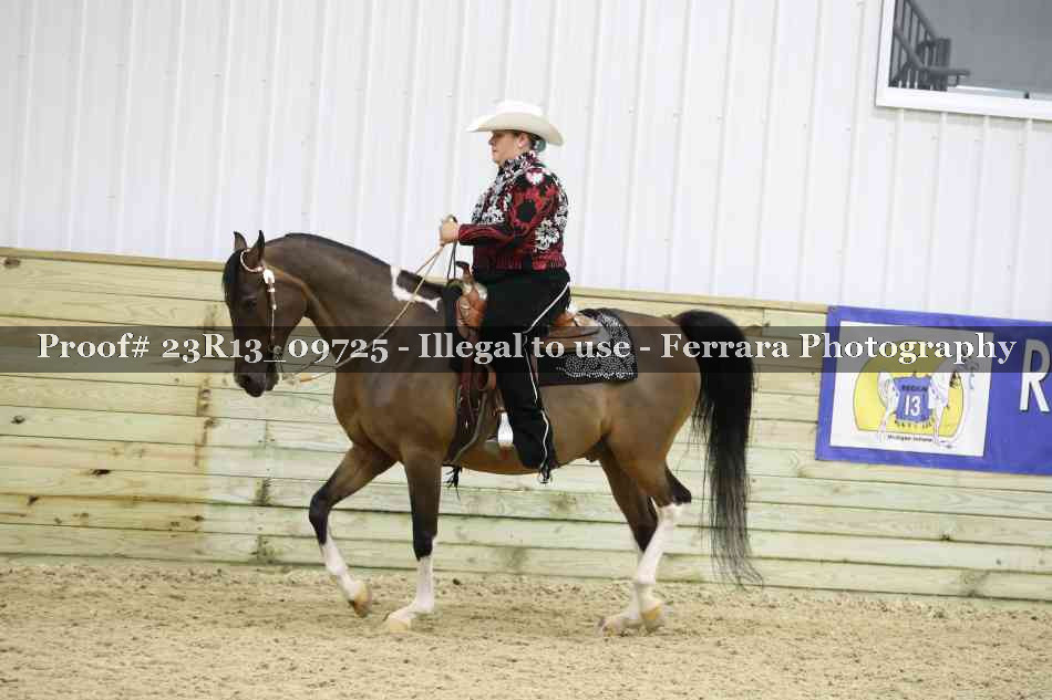 Proof Number 23R13_09725