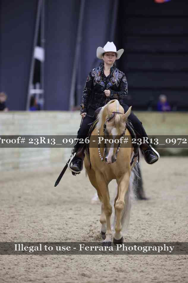 Proof Number 23R13_09726