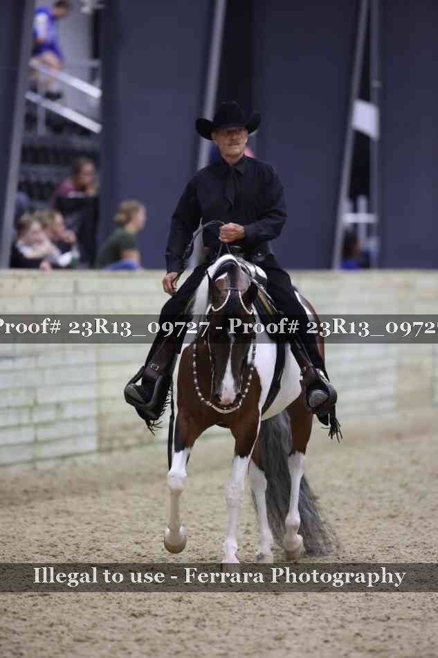 Proof Number 23R13_09727