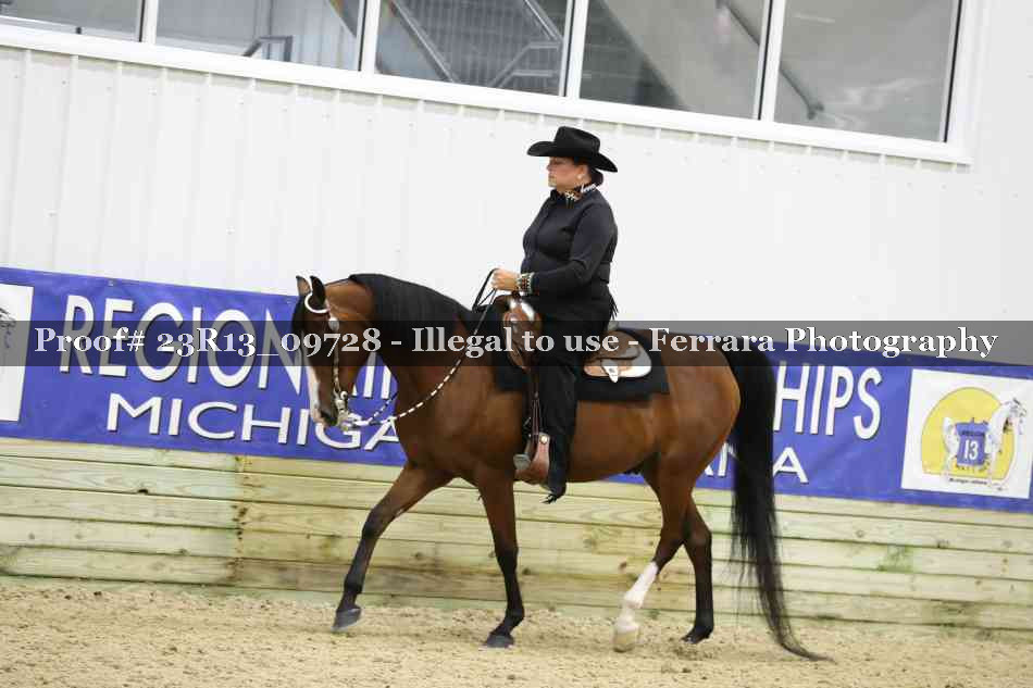 Proof Number 23R13_09728