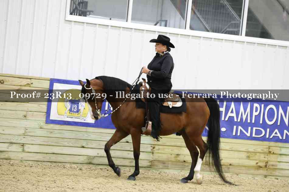 Proof Number 23R13_09729