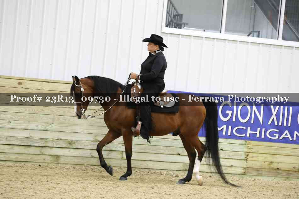 Proof Number 23R13_09730