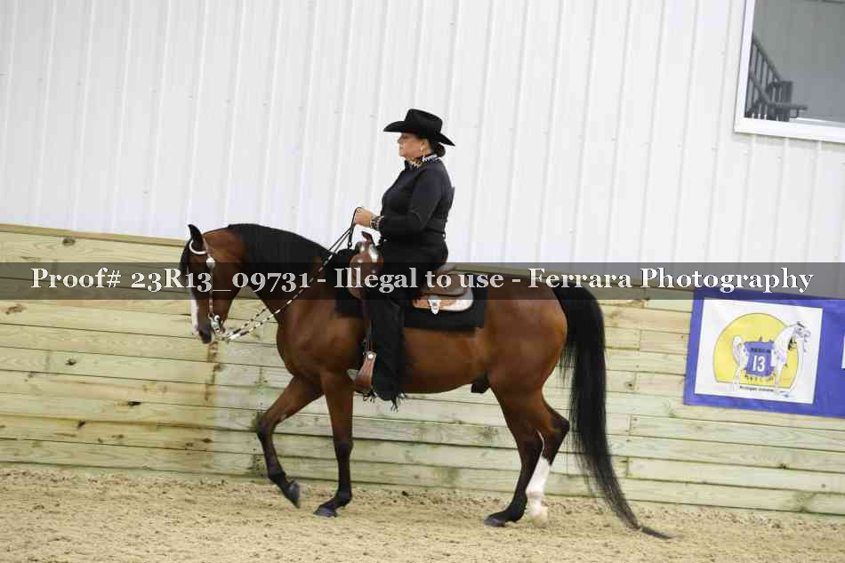Proof Number 23R13_09731