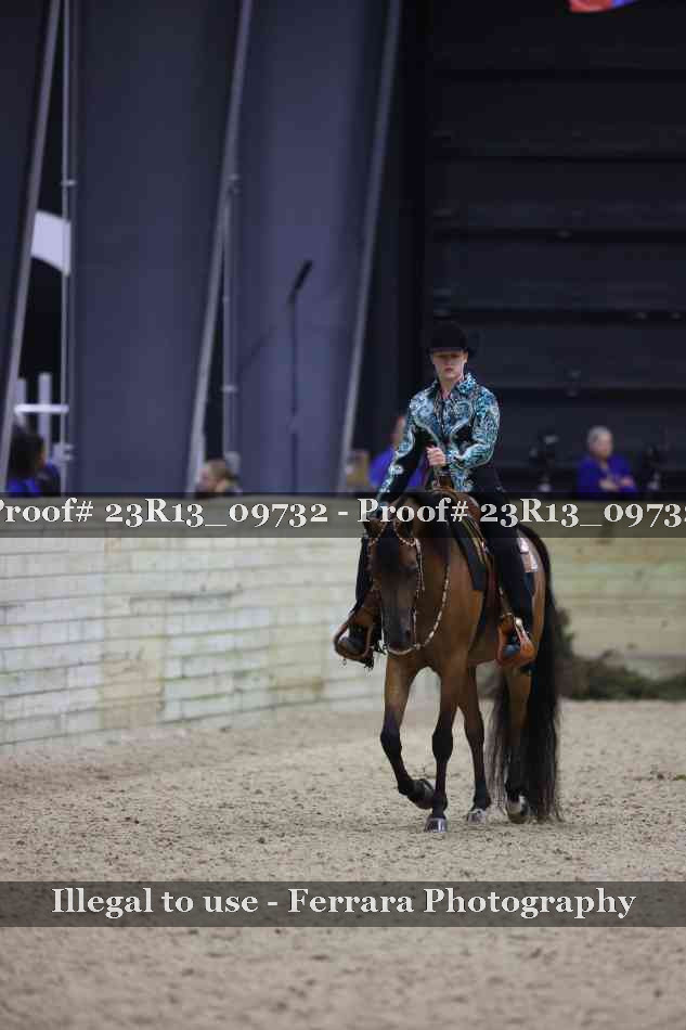 Proof Number 23R13_09732