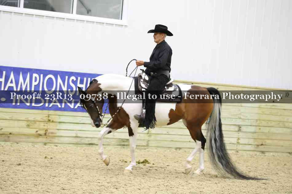 Proof Number 23R13_09738
