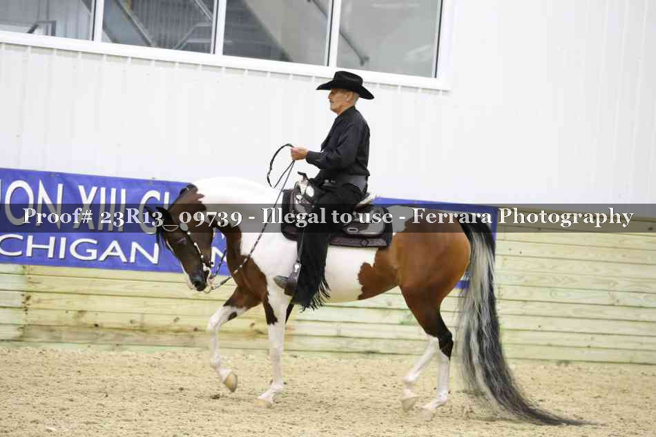 Proof Number 23R13_09739