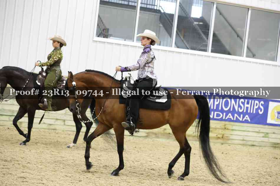 Proof Number 23R13_09744