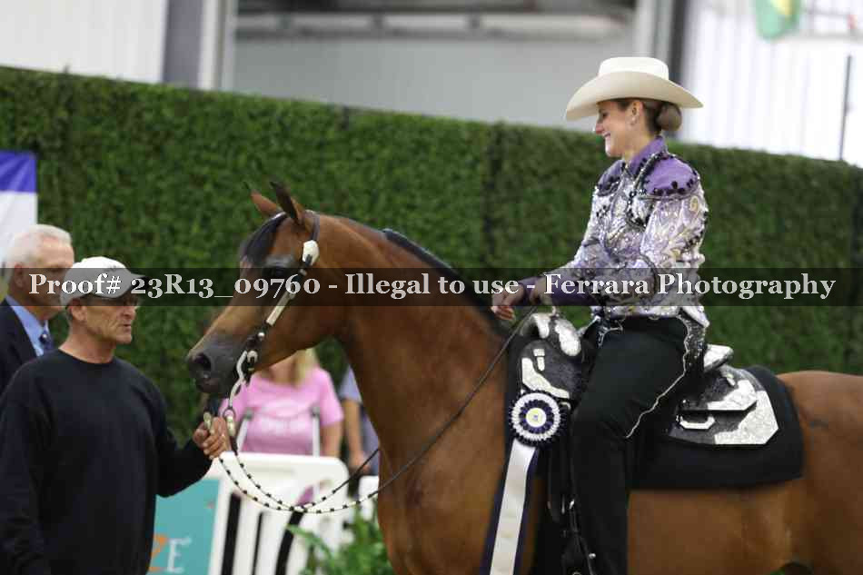 Proof Number 23R13_09760
