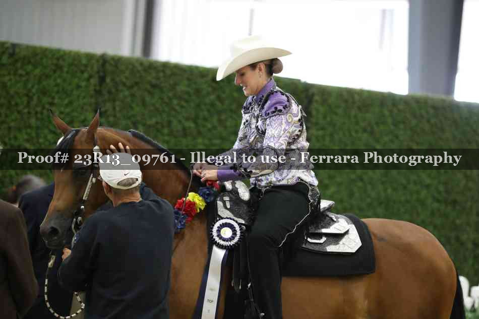 Proof Number 23R13_09761