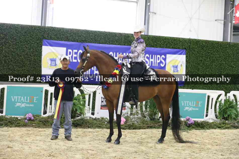 Proof Number 23R13_09762