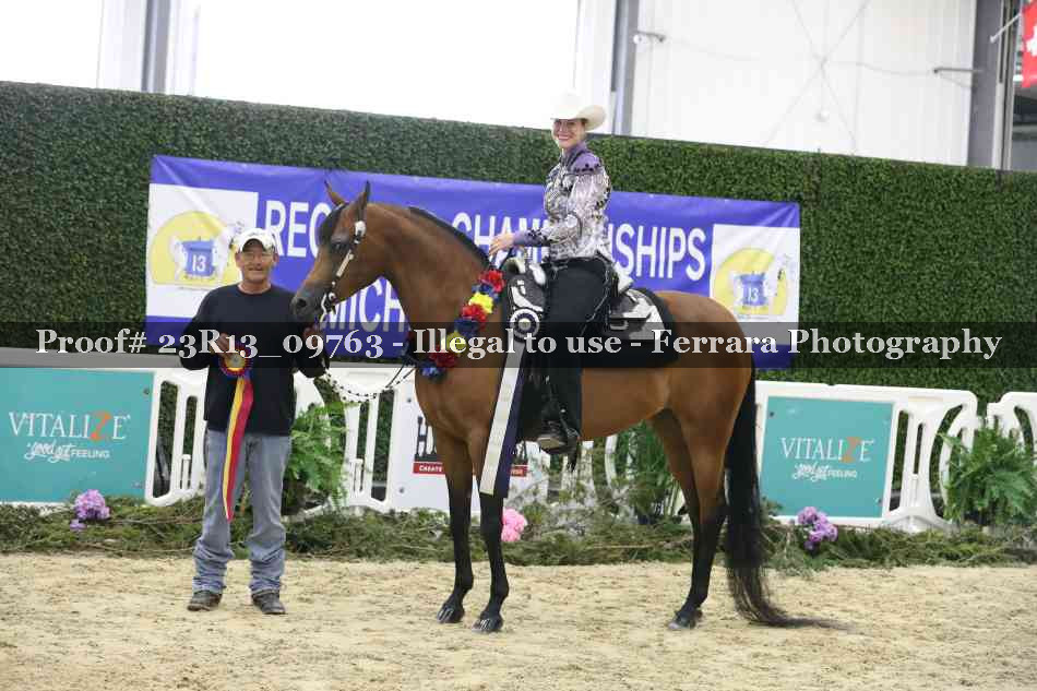 Proof Number 23R13_09763