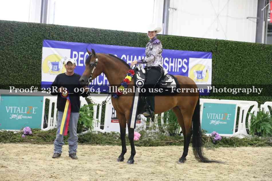 Proof Number 23R13_09764