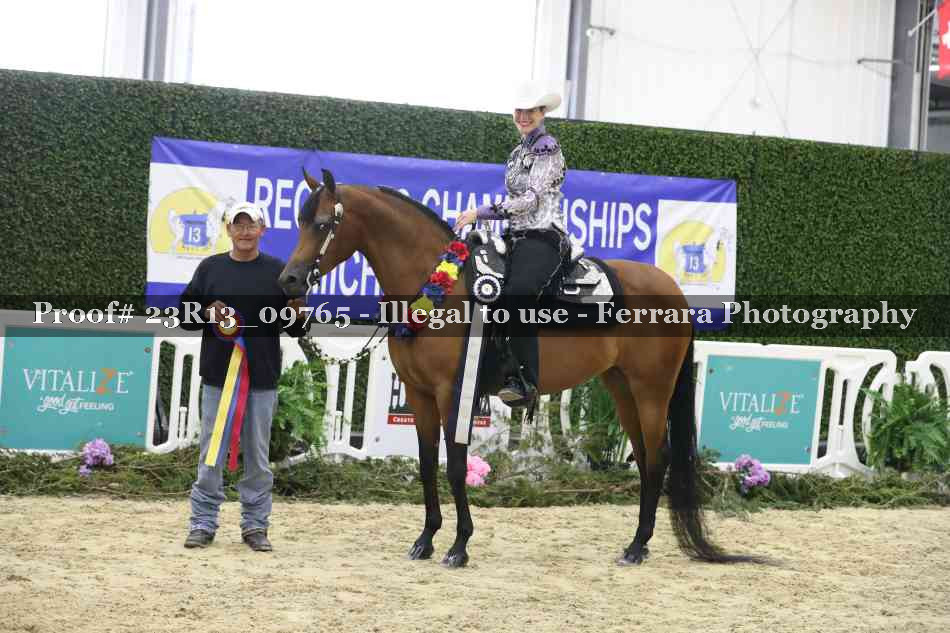 Proof Number 23R13_09765