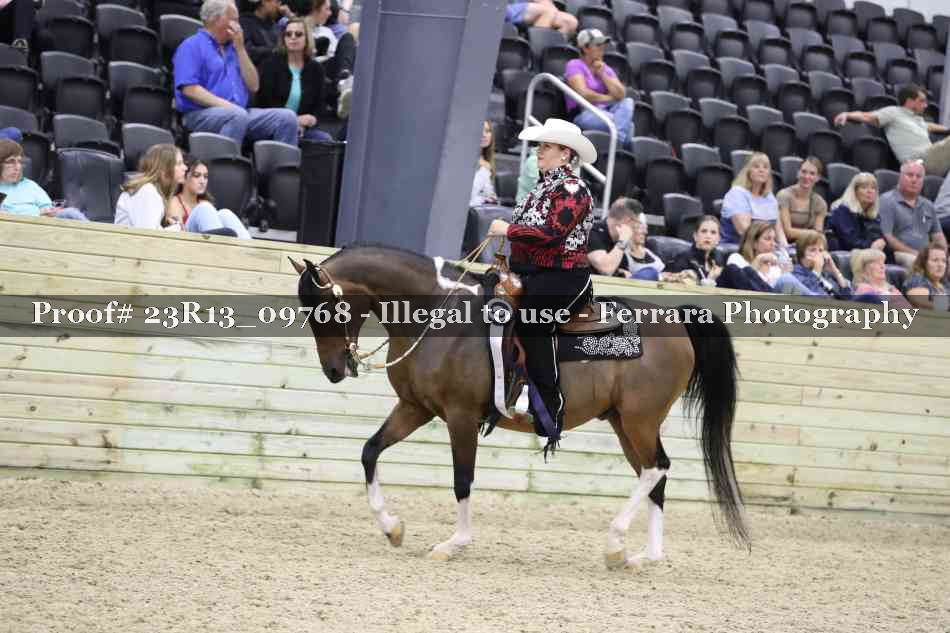 Proof Number 23R13_09768