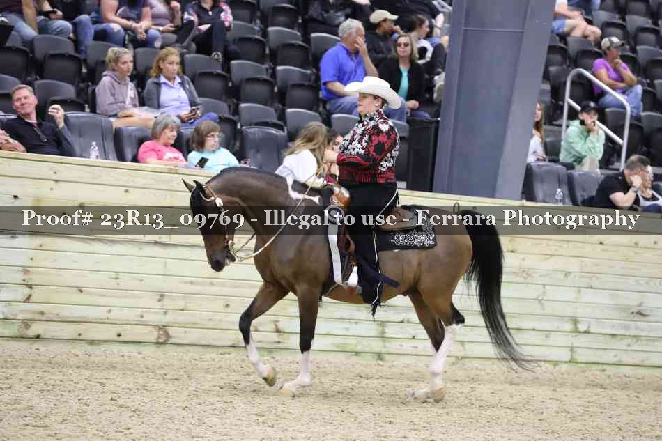 Proof Number 23R13_09769