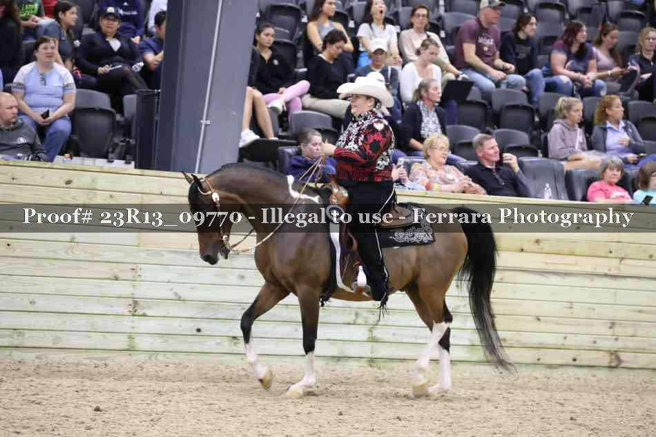 Proof Number 23R13_09770