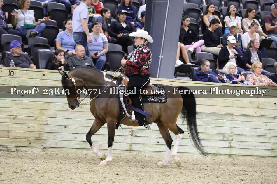 Proof Number 23R13_09771